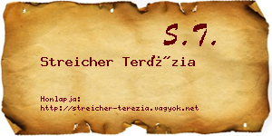 Streicher Terézia névjegykártya